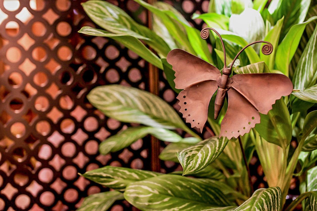 Cai She Hotel Taipei Dış mekan fotoğraf